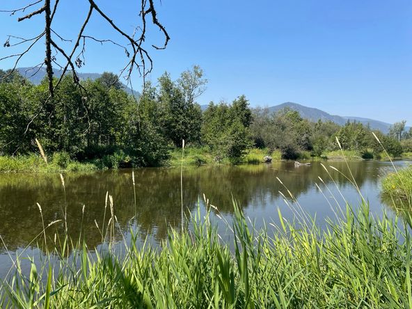 476910 Hwy 95, Ponderay, ID 83852